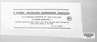 Meliola samydae image